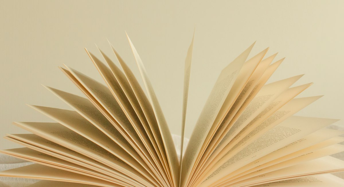 APA 7 blok alıntı yapılan açık kitap